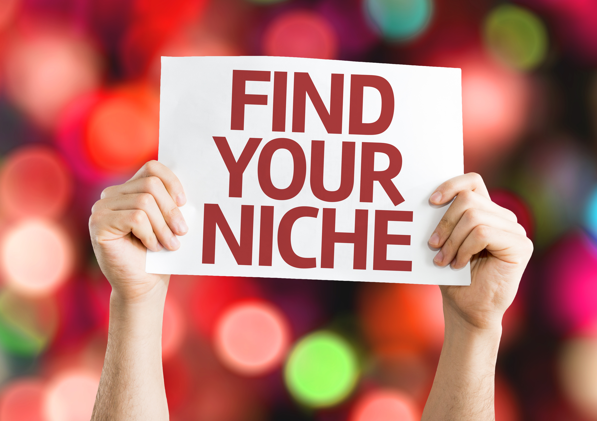 Finding Your Ideal Niche